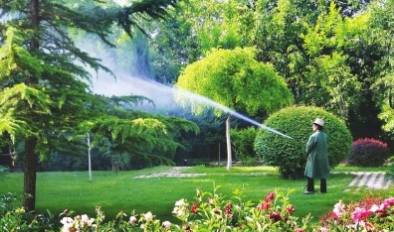 家庭護(hù)理服務(wù)包括哪些內(nèi)容